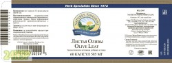 listya-olivy