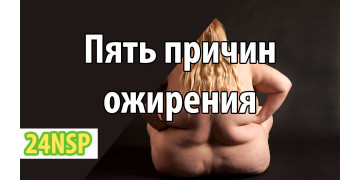 Пять причин ожирения Пять причин ожирения