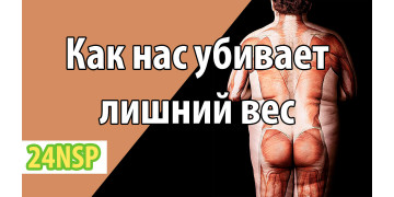 Как нас убивает лишний вес Как нас убивает лишний вес