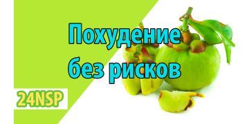 Вечно зелёное растение как способ похудеть без рисков Вечно зелёное растение как способ похудеть без рисков
