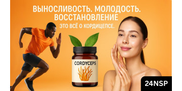 Полезные свойства Кордицепса Полезные свойства Кордицепса