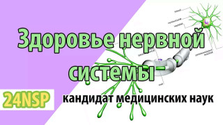 Здоровье нервной системы! (Видео-лекция)