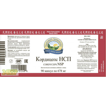 Кордицепс НСП (Cordyceps NSP) NSP, модель 1240 | Изображение № 6