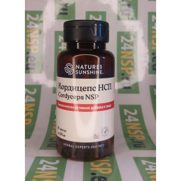 Кордицепс НСП (Cordyceps NSP) NSP, артикул 1240