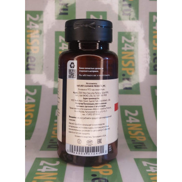 Кордицепс НСП (Cordyceps NSP) NSP, модель 1240 | Изображение № 2