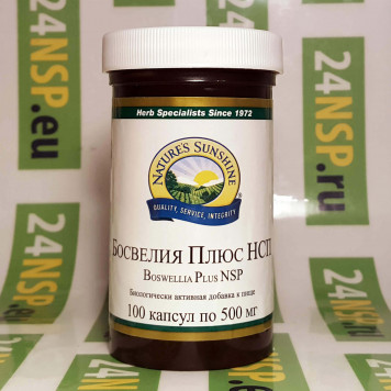 Босвелия Плюс (Boswellia plus) НСП NSP, модель 1296 | Изображение № 4