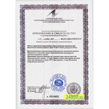 Е-Чай НСП (E-Tea NSP) NSP, модель 1360 | Изображение № 8