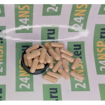 Е-Чай НСП (E-Tea NSP) NSP, модель 1360 | Изображение № 3