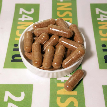 Репейник НСП (Burdock NSP) NSP, модель 140 | Изображение № 3