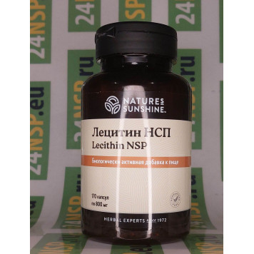 Лецитин НСП (Lecithin NSP) NSP, артикул 1661