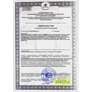 Антиоксидант НСП (Antioxidant NSP) Антиоксидант НСП (Antioxidant NSP) NSP, модель 1825 | Изображение № 4