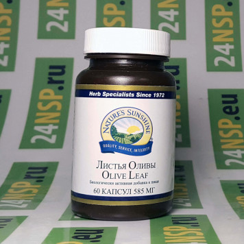 Листья оливы НСП NSP, модель 204 | Изображение № 3