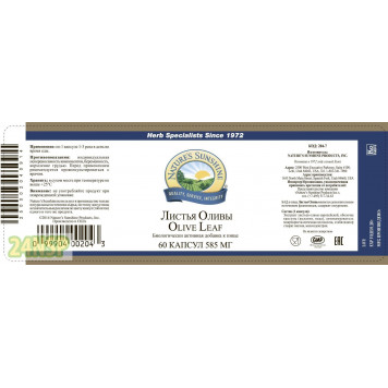 Листья оливы НСП NSP, модель 204 | Изображение № 6