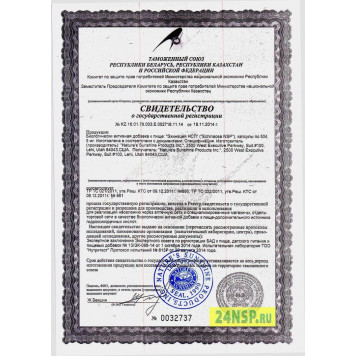 Эхинацея НСП (Echinacea NSP) NSP, модель 262 | Изображение № 3