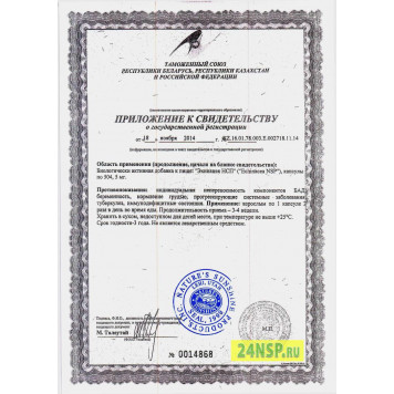 Эхинацея НСП (Echinacea NSP) NSP, модель 262 | Изображение № 4