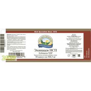 Эхинацея НСП (Echinacea NSP) NSP, модель 262 | Изображение № 5