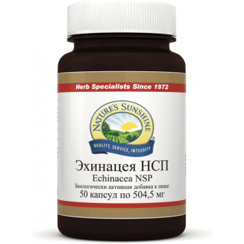 Эхинацея НСП (Echinacea NSP) NSP, артикул 262