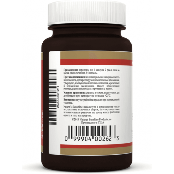 Эхинацея НСП (Echinacea NSP) NSP, модель 262 | Изображение № 1