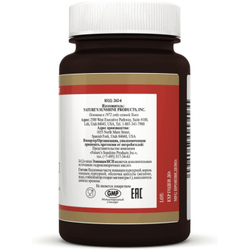 Эхинацея НСП (Echinacea NSP) NSP, модель 262 | Изображение № 2