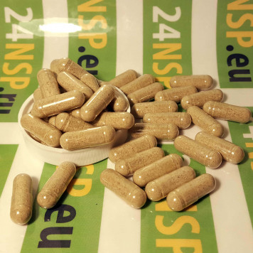 Фэт Грабберс НСП (Fat Grabbers NSP) NSP, модель 2937 | Изображение № 4