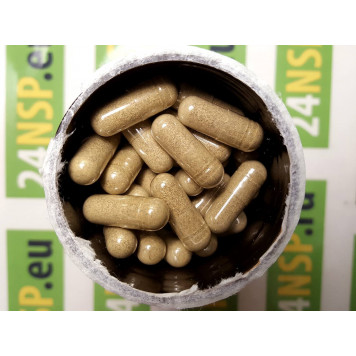 Люцерна НСП (Альфальфа) NSP, модель 30 | Изображение № 4