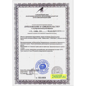 Майнд Макс НСП (Mind Max NSP) NSP, модель 3134 | Изображение № 5