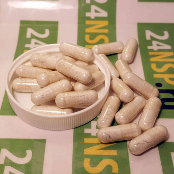 Майнд Макс НСП (Mind Max NSP) NSP, модель 3134 | Изображение № 3