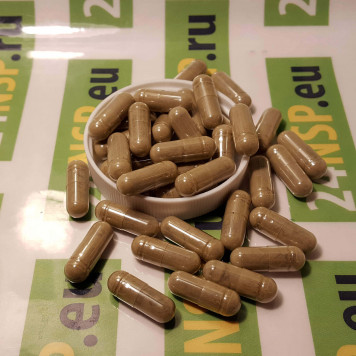 Готу кола НСП (Gotu kola NSP) NSP, модель 360 | Изображение № 3