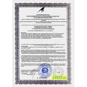 Молочный Чертополох НСП (Milk Thistle NSP) Молочный Чертополох НСП (Milk Thistle NSP) NSP, модель 4040 | Изображение № 6