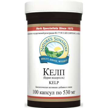 Келп НСП (Бурая водоросль) NSP, модель 410 | Изображение № 4