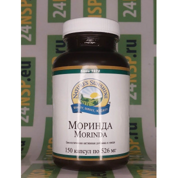 Моринда NSP, модель 22752 | Изображение № 3