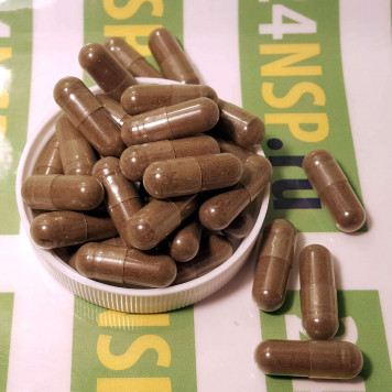 По Д’Арко НСП (Pau D'Arco NSP) NSP, модель 504 | Изображение № 6