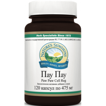 Пау Пау НСП (Paw Paw Cell Reg NSP) NSP, модель 511 | Изображение № 1