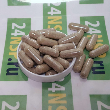 Красный клевер НСП (Red Clover NSP) NSP, модель 550 | Изображение № 3