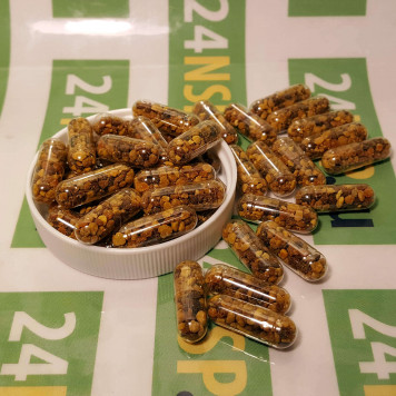 Пчелиная Пыльца НСП (Bee Pollen NSP) Пчелиная Пыльца НСП (Bee Pollen NSP) NSP, модель 70 | Изображение № 6