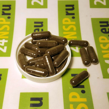 Грецкий Черный Орех НСП (Black Walnut NSP) NSP, модель 90 | Изображение № 3