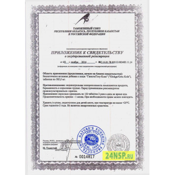 Гинкго Готу Кола НСП (Ginkgo Gotu Kola NSP) Гинкго Готу Кола НСП (Ginkgo Gotu Kola NSP) NSP, модель 907 | Изображение № 8