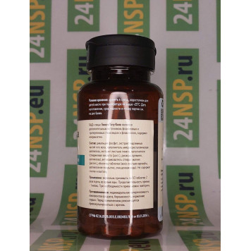 Гинкго Готу Кола НСП (Ginkgo Gotu Kola NSP) Гинкго Готу Кола НСП (Ginkgo Gotu Kola NSP) NSP, модель 907 | Изображение № 2