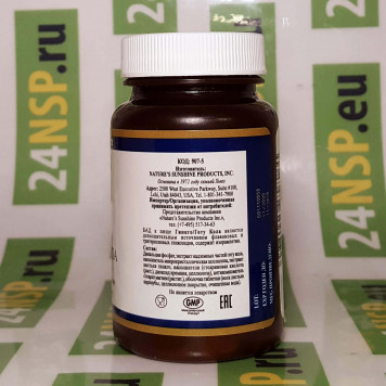 Гинкго Готу Кола НСП (Ginkgo Gotu Kola NSP) Гинкго Готу Кола НСП (Ginkgo Gotu Kola NSP) NSP, модель 907 | Изображение № 4