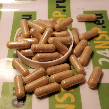 Вери-Гон (Vari-Gone) НСП NSP, модель 999 | Изображение № 4