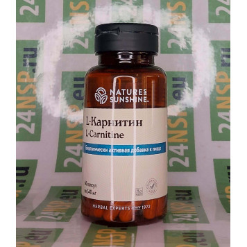 L-карнитин NSP, артикул 23065