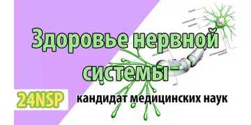 Здоровье нервной системы! (Видео-лекция) Здоровье нервной системы! (Видео-лекция)