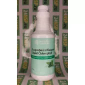 Хлорофилл жидкий НСП (Liquid Chlorophyll NSP)