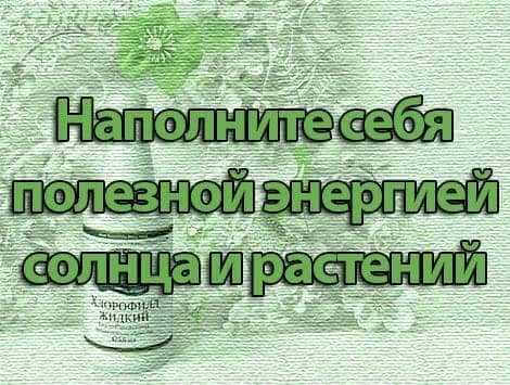 Наполните себя полезной энергией солнца и растений