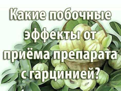 Какие побочные эффекты от приёма препарата с гарцинией?