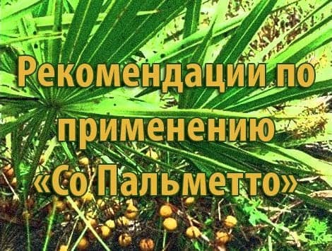 Рекомендации по применению «Со Пальметто»