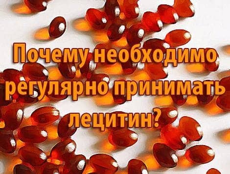 Почему необходимо регулярно принимать лецитин?