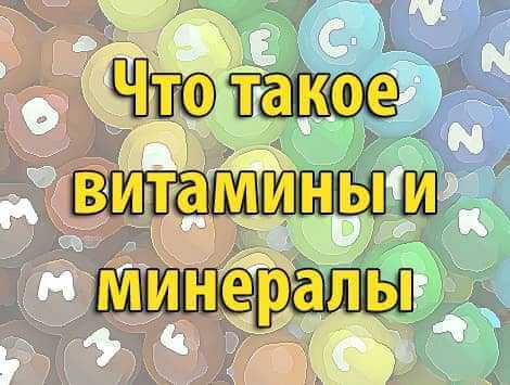 Что такое витамины и минералы