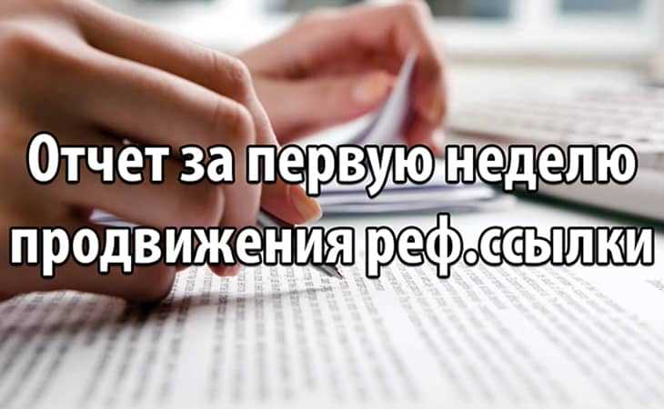 Отчет за первую неделю продвижения реф.ссылки