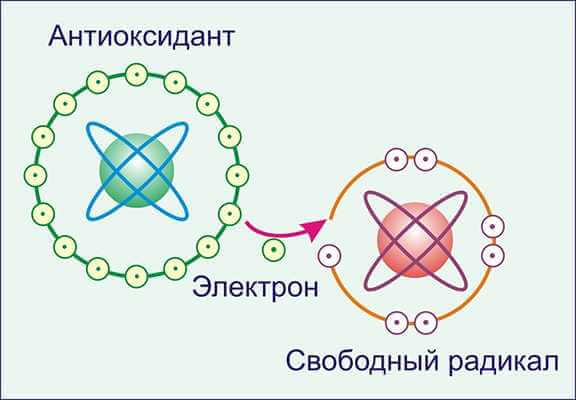 Как работает Антиоксидант NSP